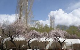 Royal Deluxe Camp & Resort, Hunder- Nubra